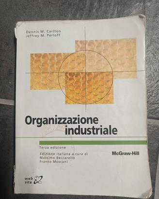 organizzazione industriale