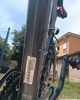 bicicletta 