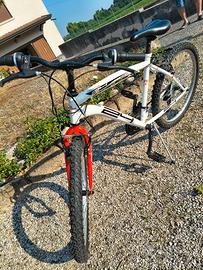 bicicletta ruota da 26