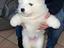 Immagine 1