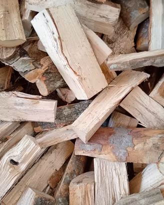 legna da ardere 