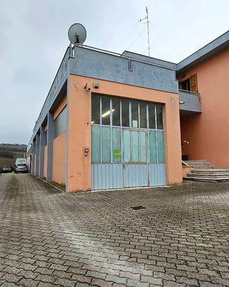 V 2458 - collemarino