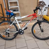 Bicicletta rampichino Mountain bike Giant