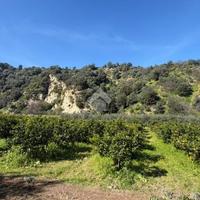 TER. AGRICOLO A CORIGLIANO-ROSSANO