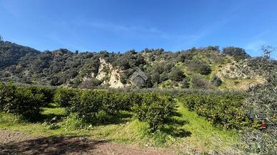 TER. AGRICOLO A CORIGLIANO-ROSSANO