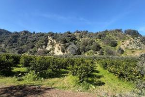 TER. AGRICOLO A CORIGLIANO-ROSSANO