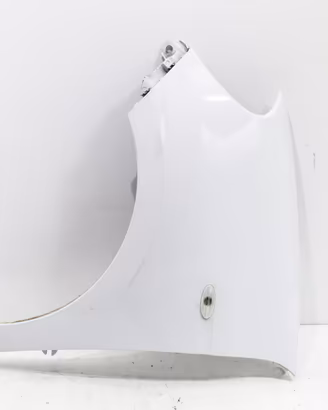 PARAFANGO ANTERIORE SINISTRO SMART Forfour 453 Bra