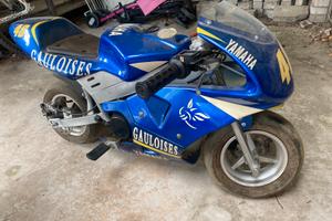 Minimoto 49cc 2 tempi replica valentino rossi 46
