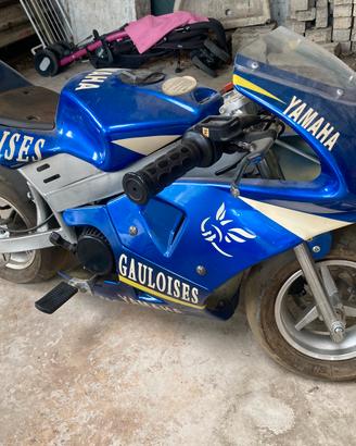 Minimoto 49cc 2 tempi replica valentino rossi 46
