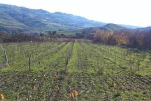 Terreno agricolo in chianotta a Vicari