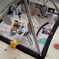 Palestrina gioco neonato