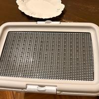 Porta Traversa per cani