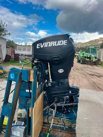 Motore marino evinrude 40 e-tec