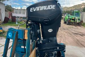 Motore marino evinrude 40 e-tec