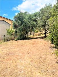 RIBASSO: Terreno edificabile