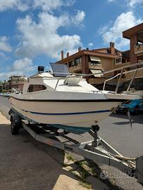 Sidra orsa minore più carrello ellebi