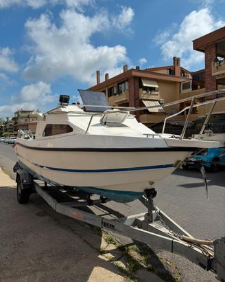 Sidra orsa minore più carrello ellebi