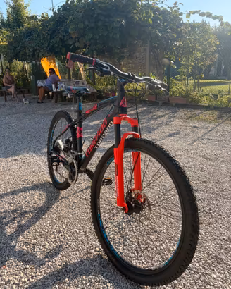Torpado Chiron 27.5