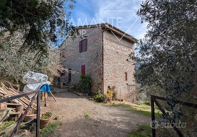 Casale in pietra su due livelli con oliveto