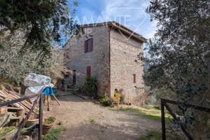 Casale in pietra su due livelli con oliveto