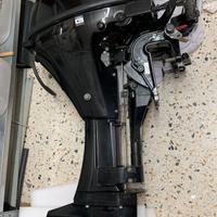 Mercury F 9.9 MLH BIGFOOT