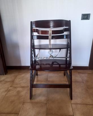 Sedia evolutiva