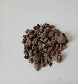 Argilla espansa per giardinaggio 1kg