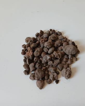 Argilla espansa per giardinaggio 1kg