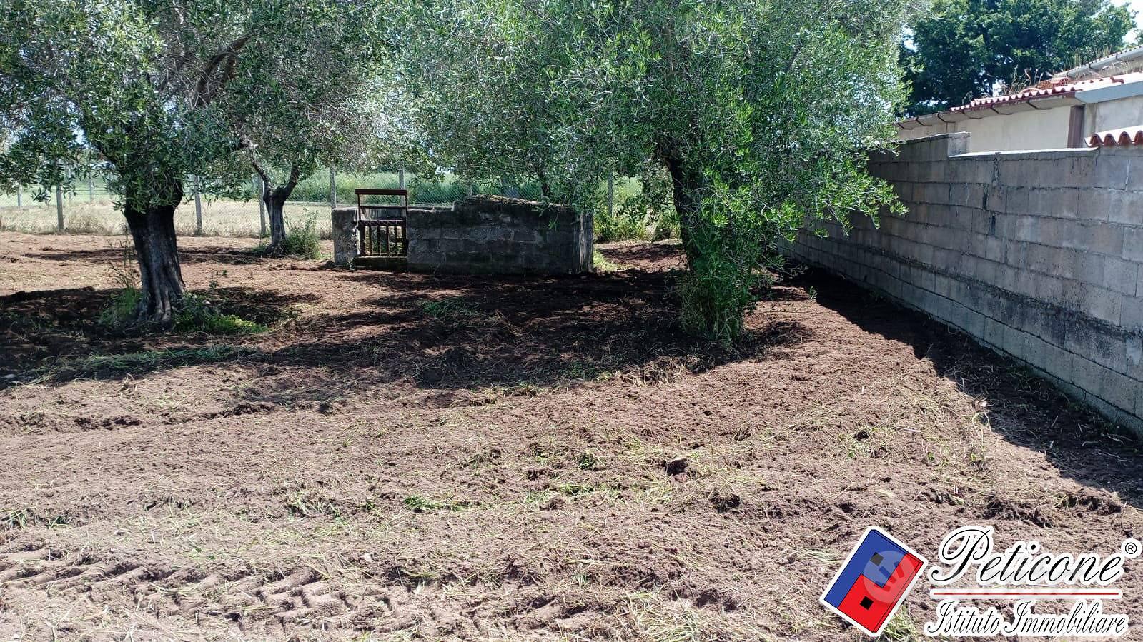 Terreno agricolo - Fondi - Vista 6