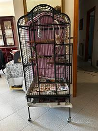 Voliera per pappagalli
