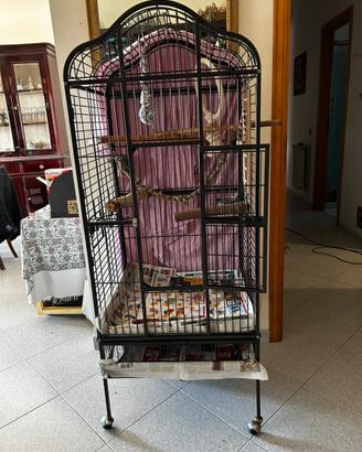 Voliera per pappagalli