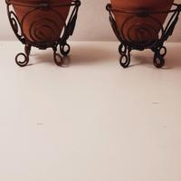 vasi per piante grasse