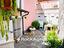 Immagine 29
