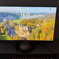 Monitor asus 24 pollici