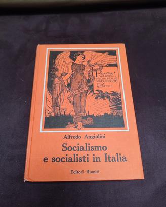 Socialismo e socialisti in Italia. E R 
