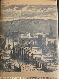 Libro sulle mura di Cittadella (padova)