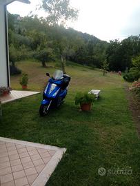 Honda Pantheon 150 4 t