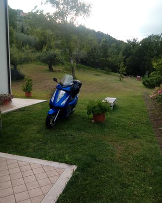 Honda Pantheon 150 4 t