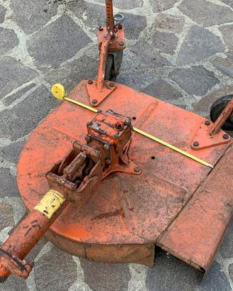 Taglia erba goldoni