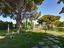 Immagine 8
