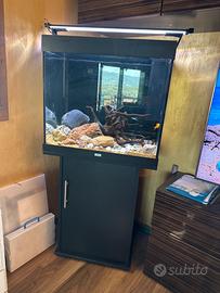 Acquario juwel con mobile