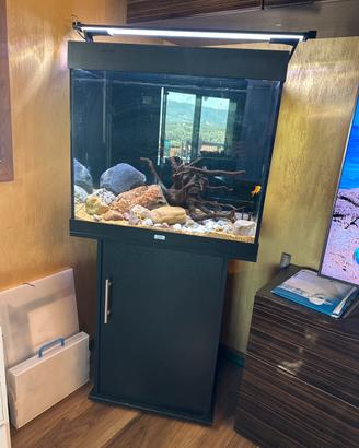 Acquario juwel con mobile