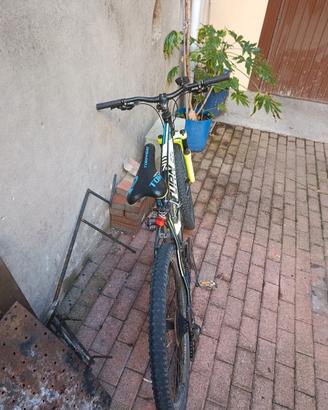 Mountain bike