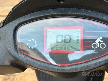 Altro Altro modello - 2024