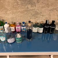 Bottiglie Gin vuote