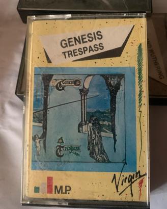 Genesis