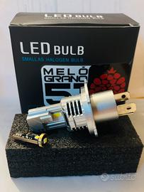 Kit plug&play luce led per xsr 900 (2016)