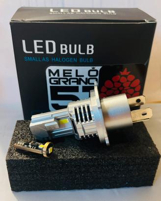 Kit plug&play luce led per xsr 900 (2016)