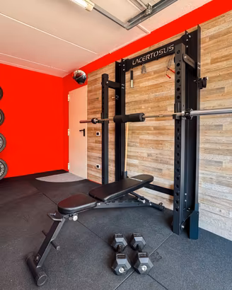 Home Gym Lacertosus