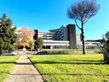 Magliana/Parco dè Medici - Locale uso ufficio